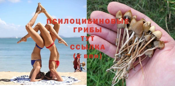 шишки Алексеевка